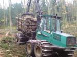    TIMBERJACK  TIMBERJACK 1110C