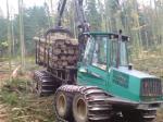 TIMBERJACK  TIMBERJACK 1110C   1