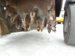 WIRTGEN    Wirtgen W600DC 2000     8